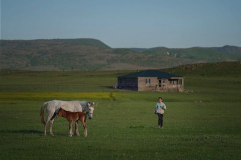 Adem Eroğlu