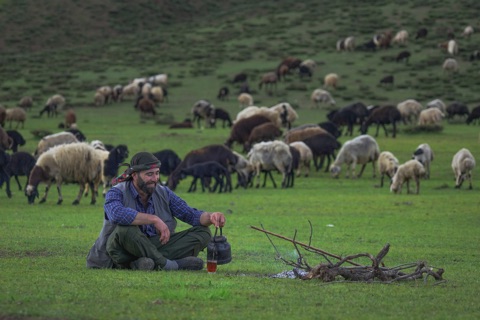 Adem Eroğlu