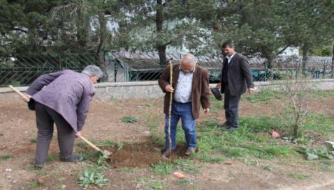 Çevre düzenleme çalışmaları başladı