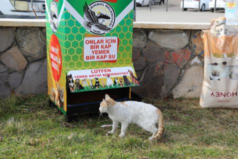 Can dostlara mamamatik hizmeti