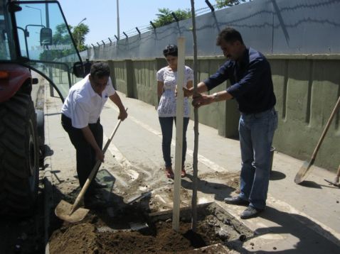 Peyzaj çalışmaları devam ediyor